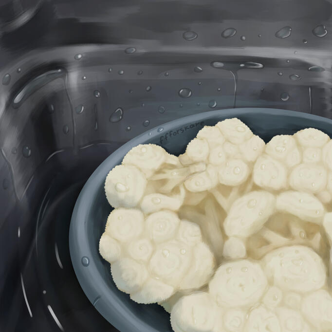 Cooking a cauliflower